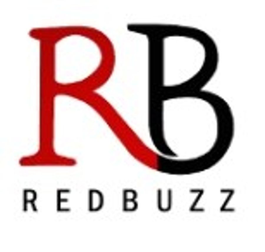 Business Development Manager at RedBuzz Incl, Delhi